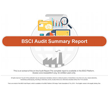 Warmly Celebrate BeiJiRen Passed The BSCI Inspection